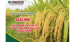 Hình sản phẩm